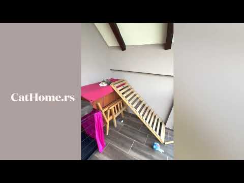 Video: Obilazak pansiona CatHome